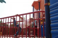 /album/papatyalar-ve-kelebeklerin-hamburger-keyfi-/dsc02746-jpg/